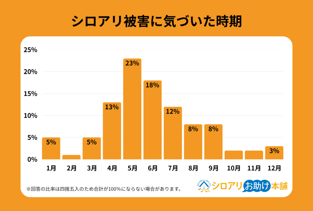 alt_ シロアリ被害に気づいた時期