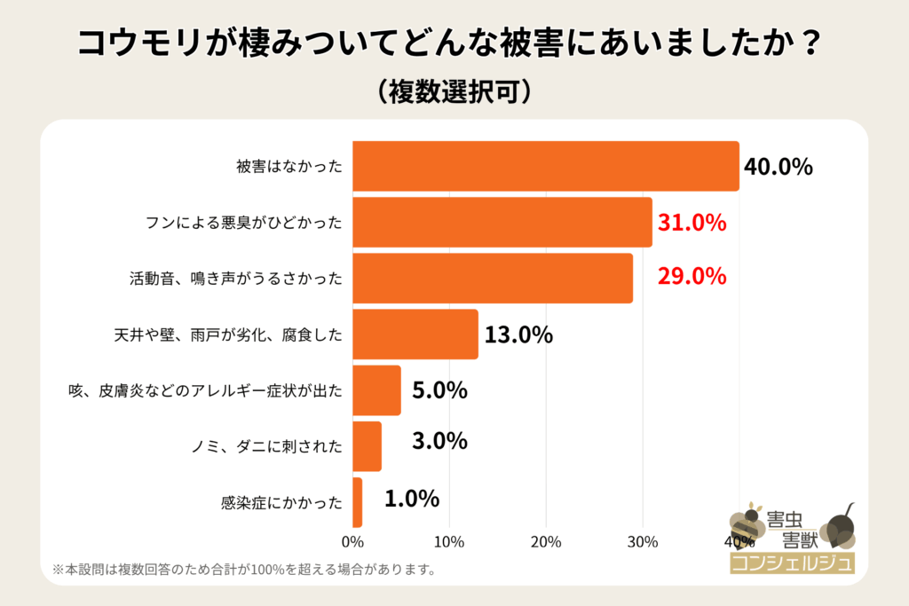 alt_コウモリが棲みついてどんな被害にあいましたか？