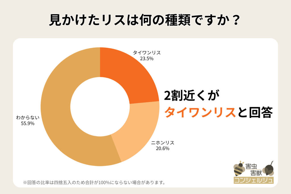 alt_見かけたリスは何の種類ですか？